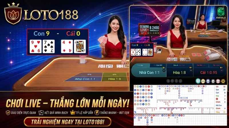 Peta Live Loto188 Lộ Diện Sảnh Cược Đỉnh Cao